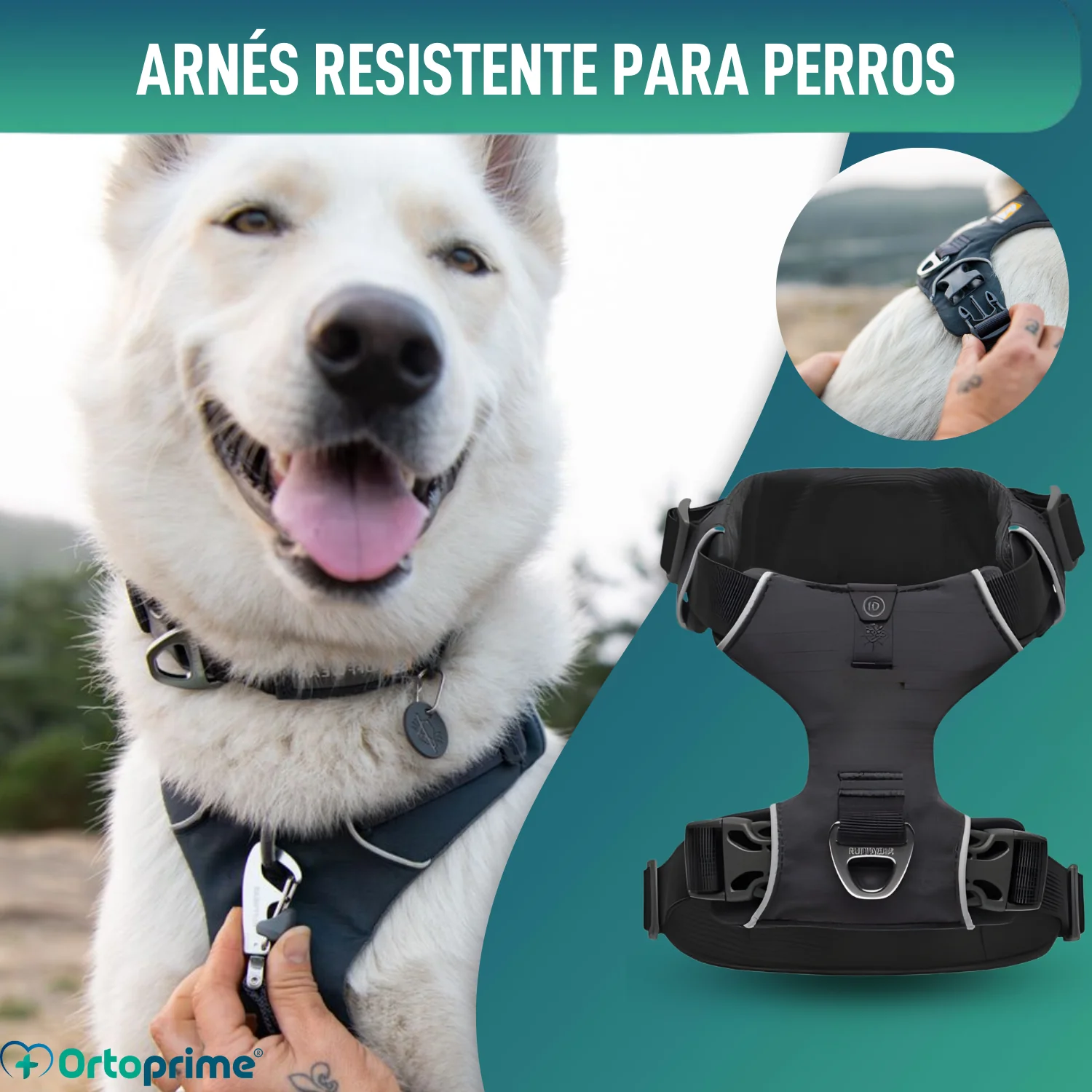 Imagen del producto 7