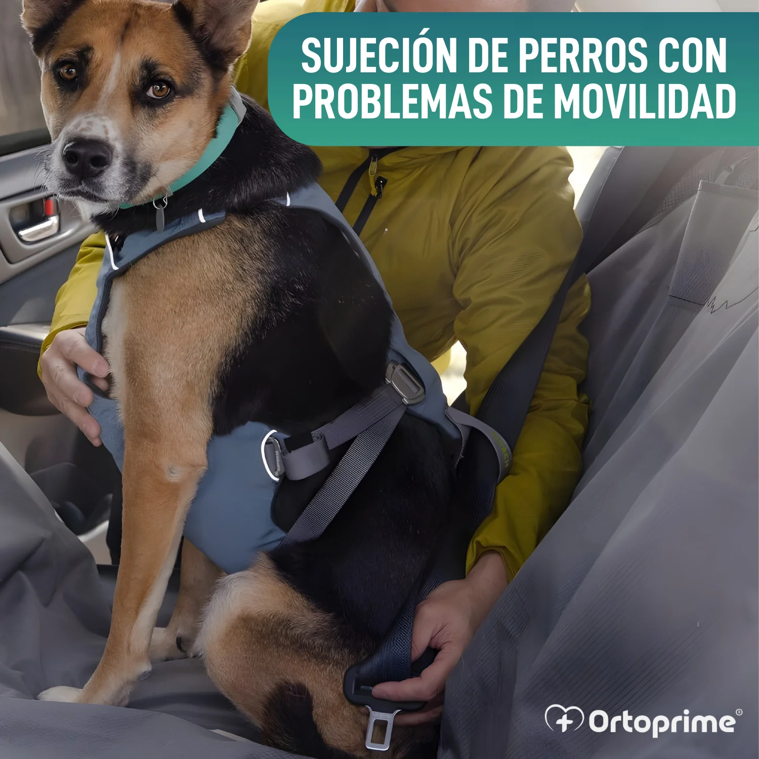 Imagen del producto 5