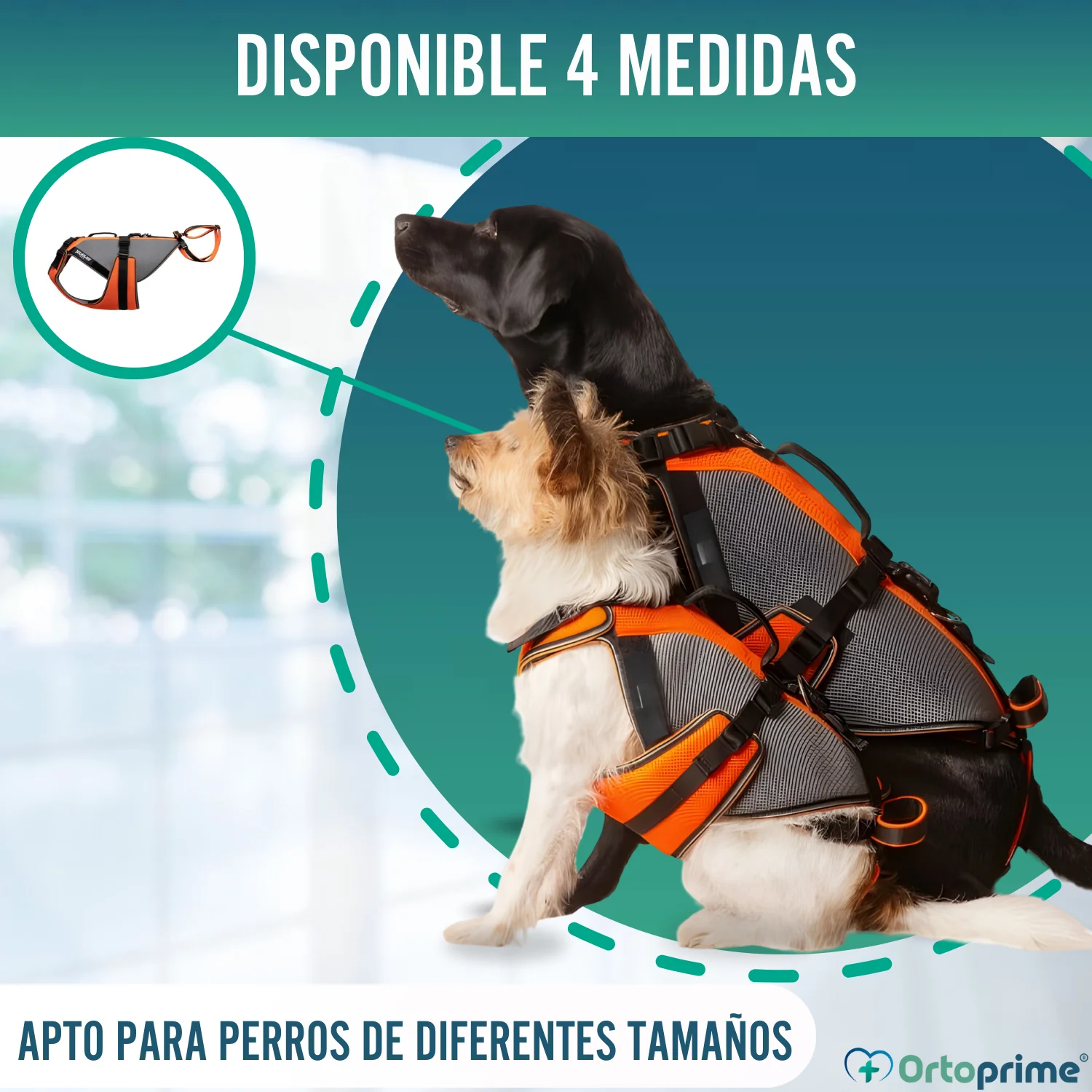 Imagen del producto 7