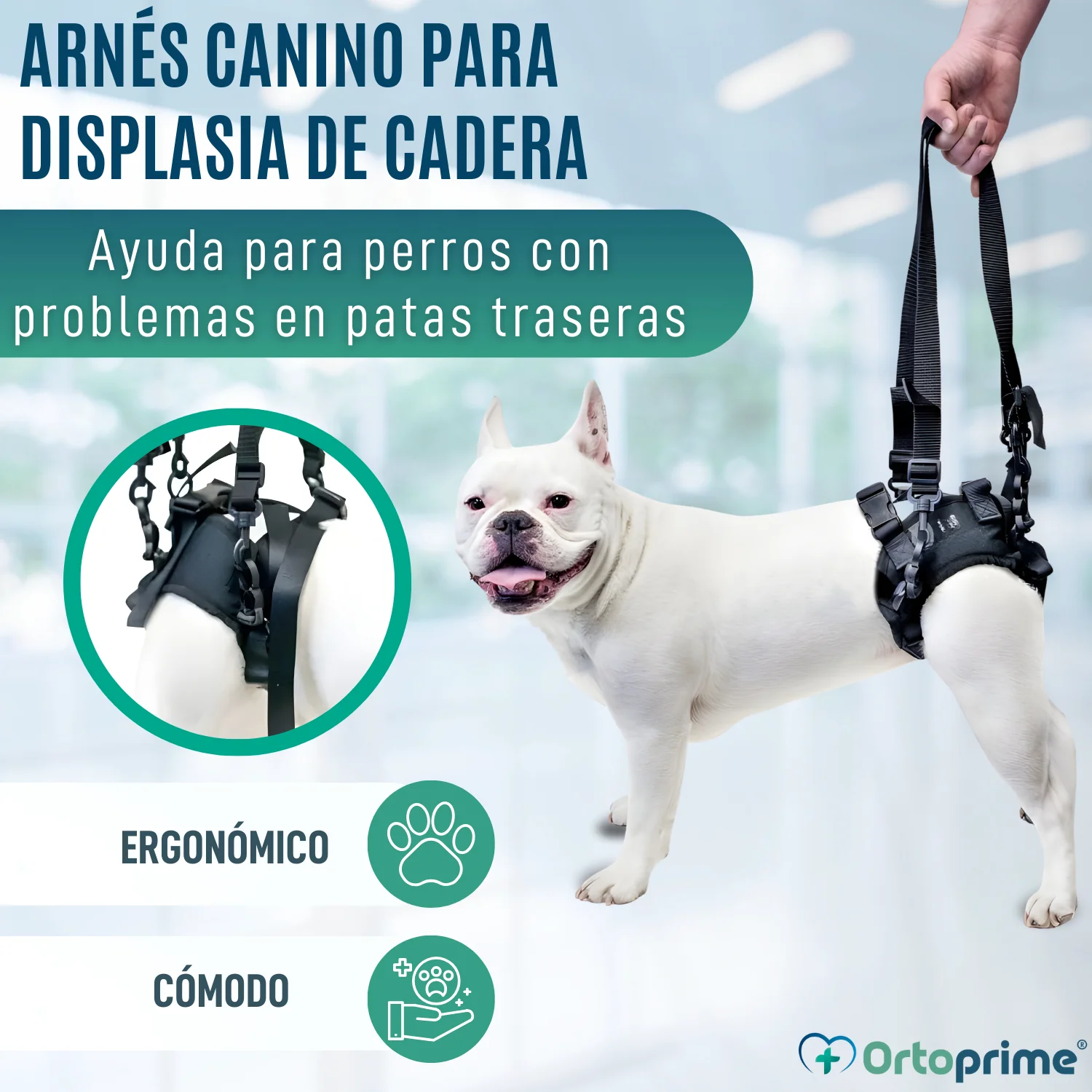 Imagen del producto 5