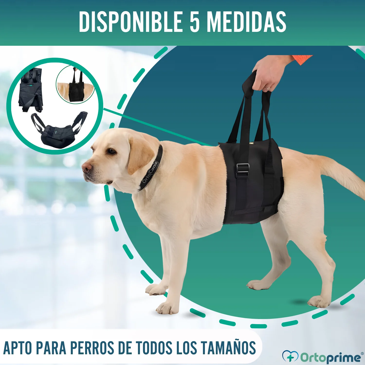 Imagen del producto 10