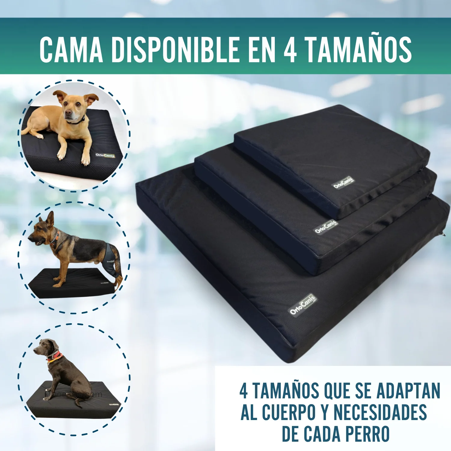 Imagen del producto 8