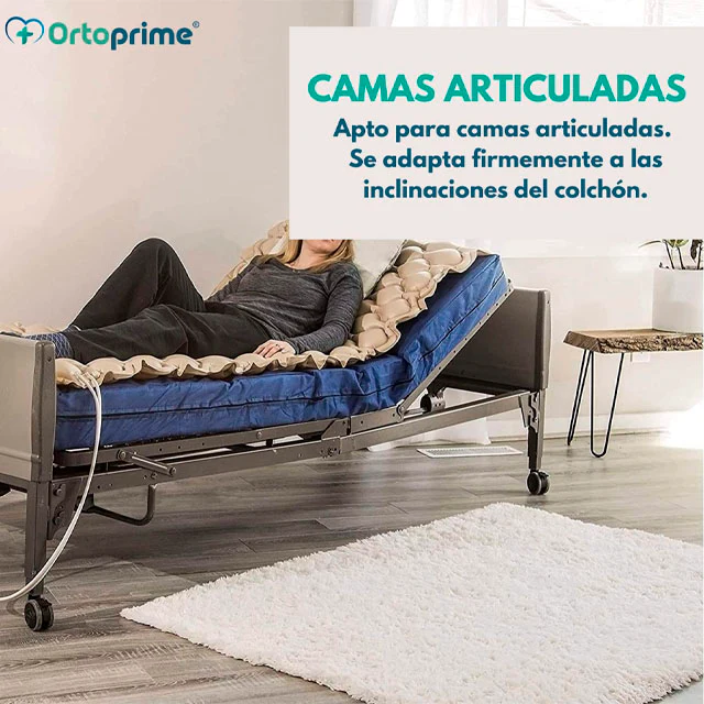 Imagen del producto 5