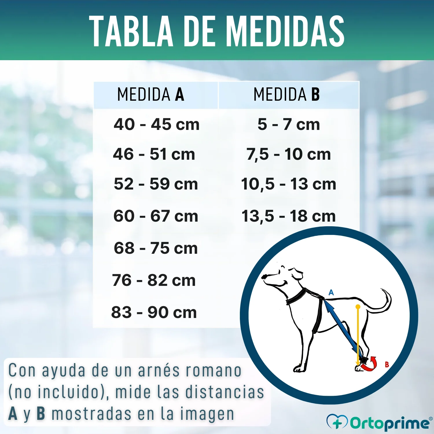 Imagen del producto 2