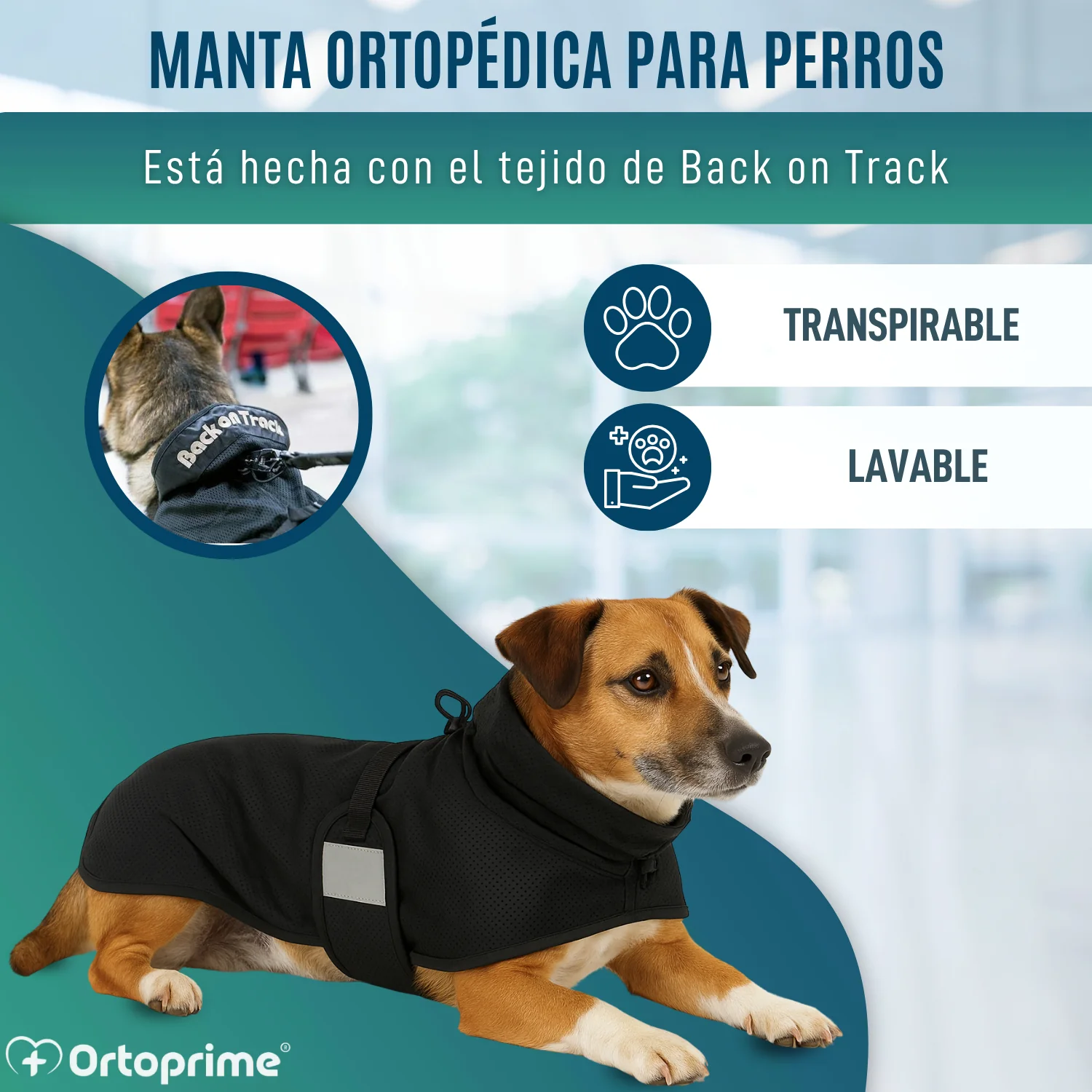 Imagen del producto 7