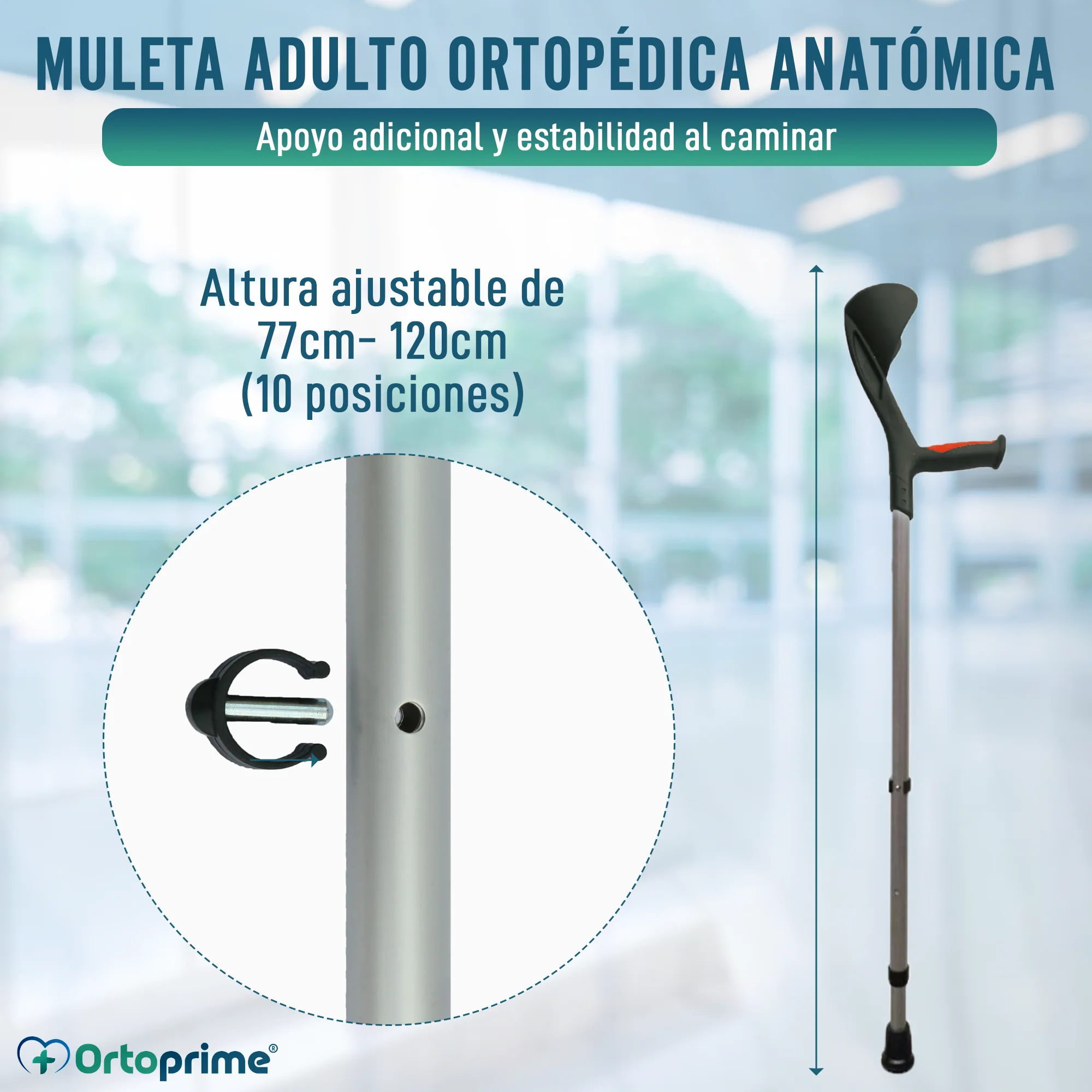 Imagen del producto 3
