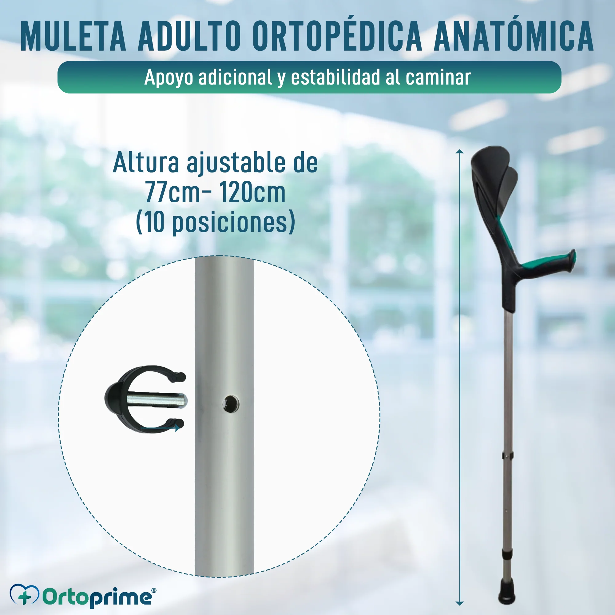 Imagen del producto 3