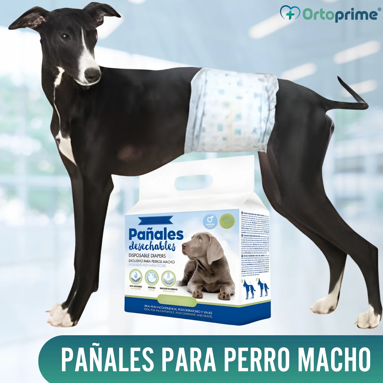 Imagen del producto 4