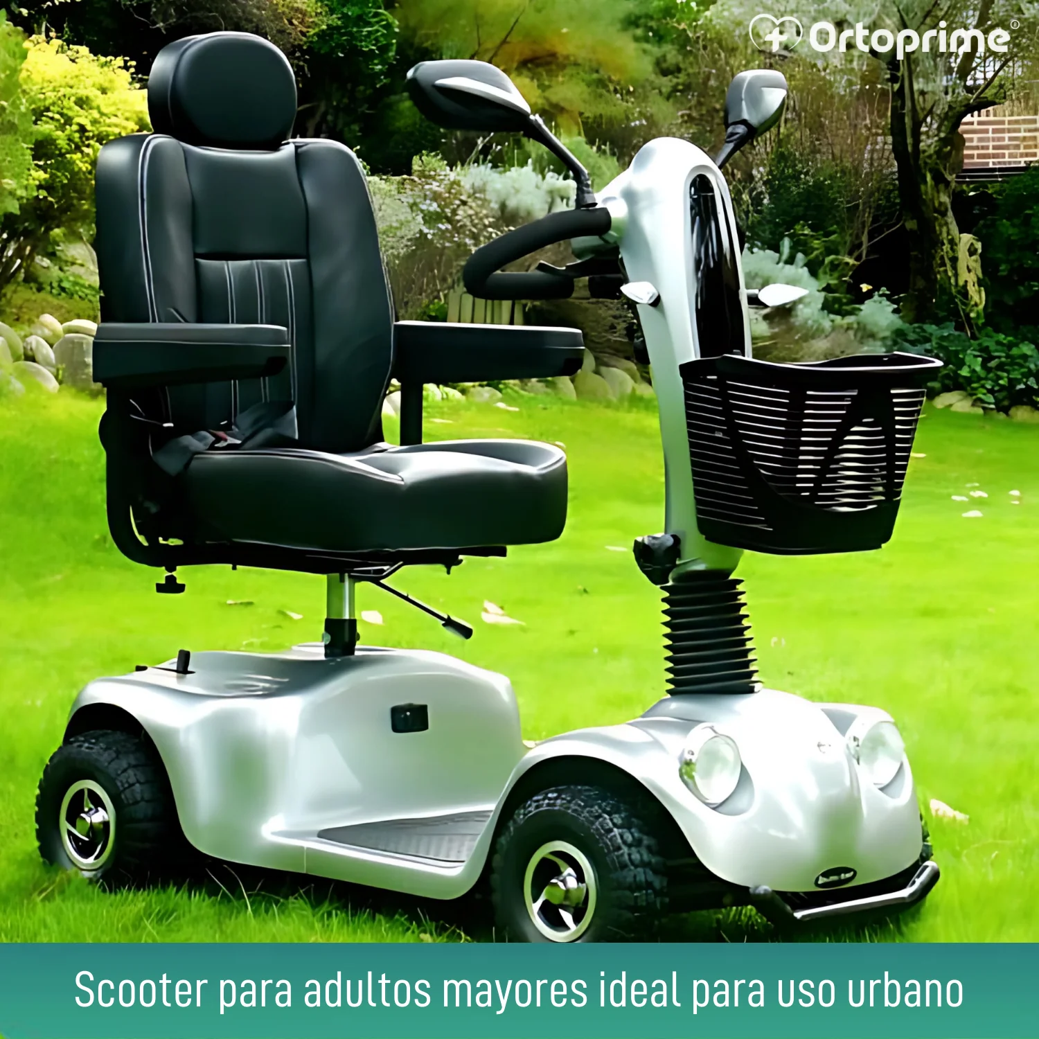 Imagen del producto 7