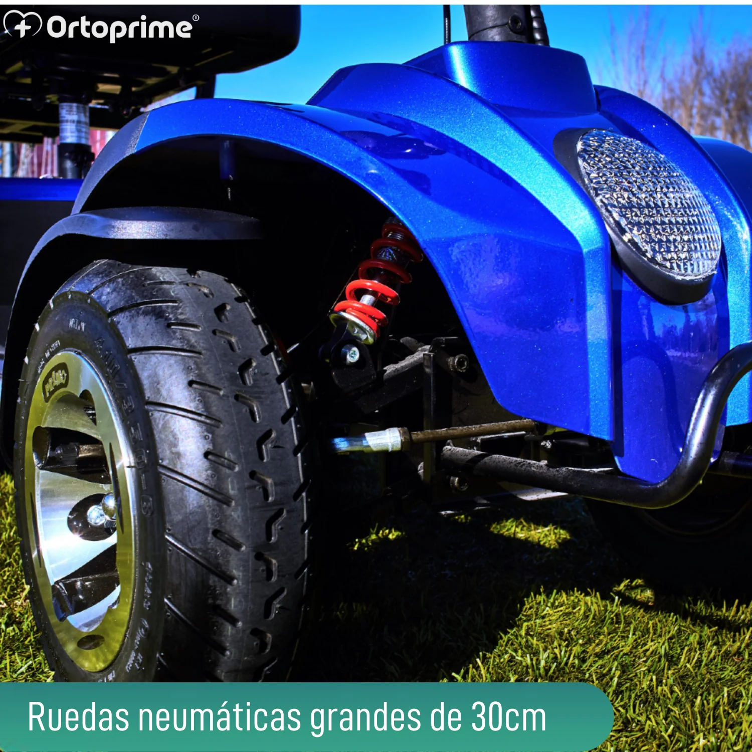 Imagen del producto 5