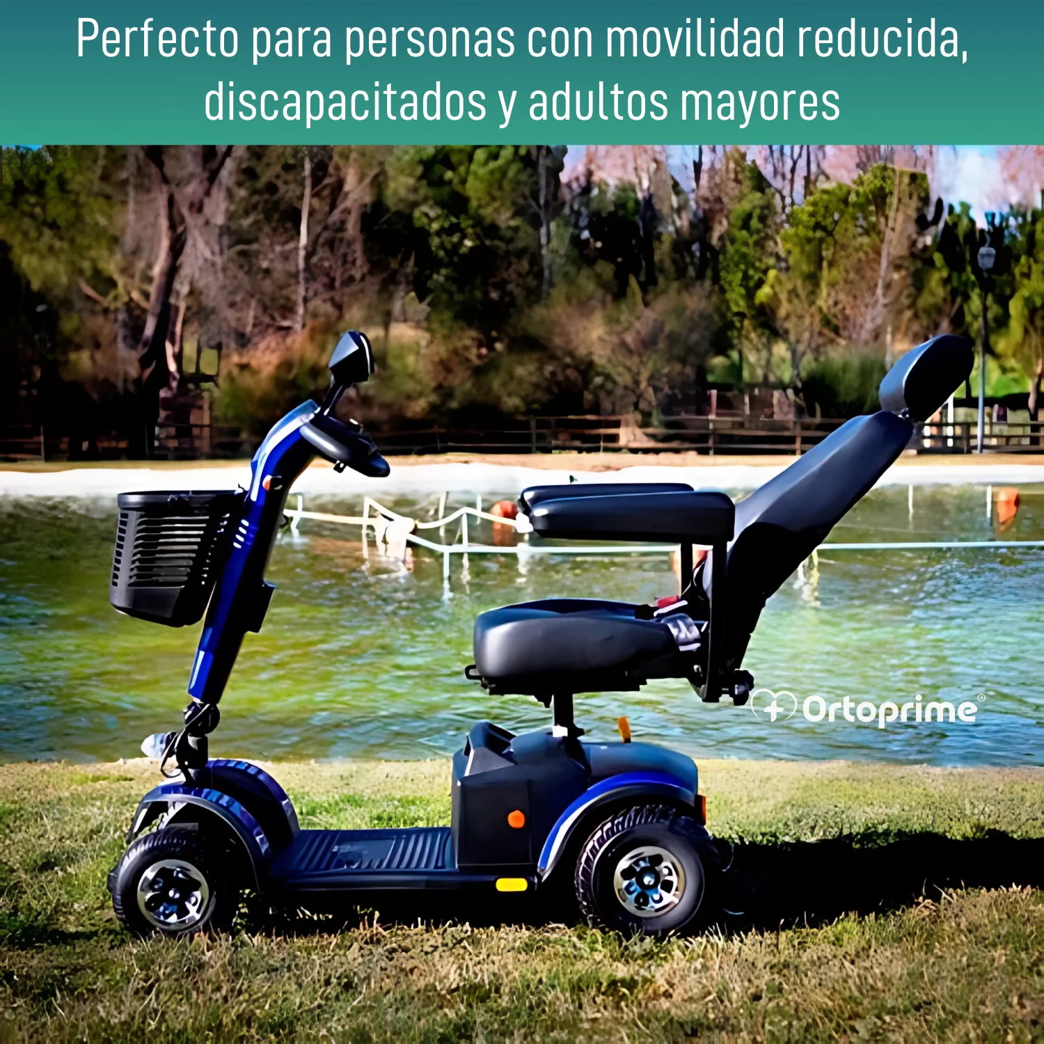 Imagen del producto 6
