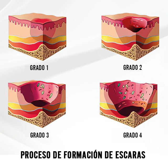 Imagen del producto 8